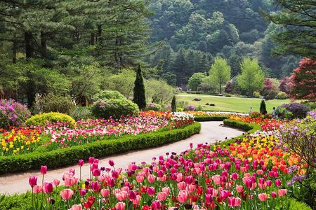 Full Day Private Tour Nami Island, Garden & Petite France