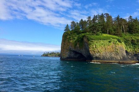 Sitka Sea Birds & Marine Life Private Charter Scenic Eco-Tour