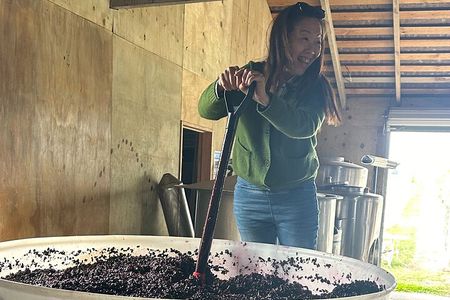 Private Martinborough Wine Tour with Chef's lunch from Wellington