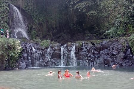 Best of Ubud Scenic Tamansari Waterfall Private Guided Tour 