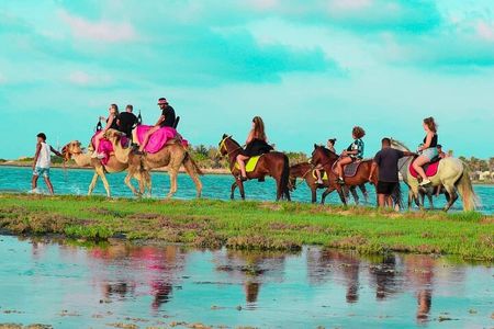 Explore Djerba by camel and horse 