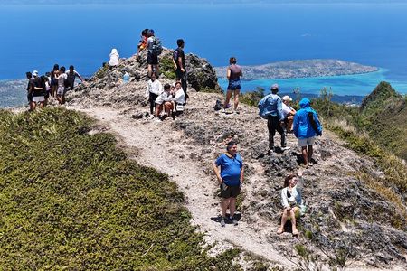 Cebu Hiking adventure in Osmena Peak 