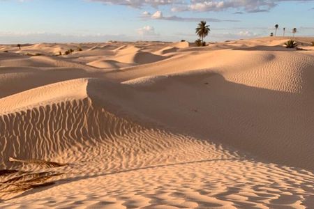 7 Day Guided Tunisia Tour Including Pickup