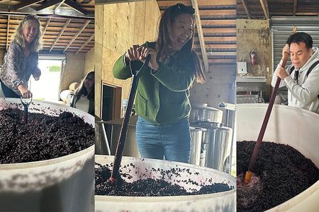 6hr Martinborough Chefs shared wine tour ŵ lunch from Wellington