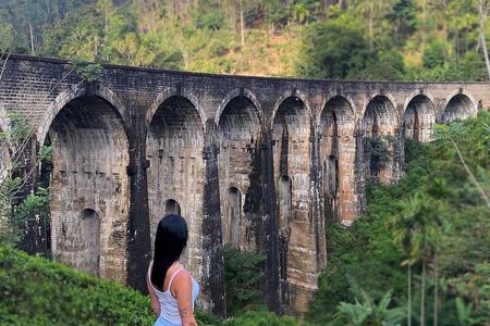 Explore Ella Highlights in a Private Guided Tour