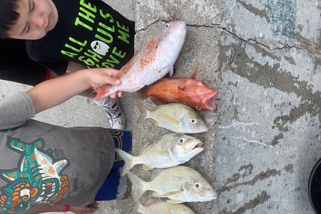 4-Hour Fishing Charter in Nassau