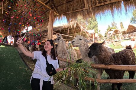 Sacred Valley and Machu Picchu 2 Day Tour with Hotel
