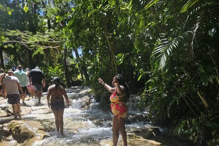  Dunn's River Falls and Ocho Rios Sightseeing with Shopping