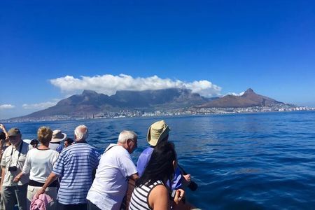 Robben Island, Kirstenbosch Gardens and Groot Constantia Tour