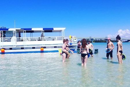 Fins Up - Dolphin & Island Sandbar Adventure in Clearwater Beach