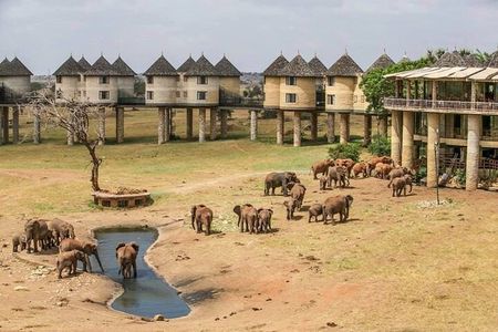 2 Days Taita Hills Game Sanctuary Saltlick Lodge