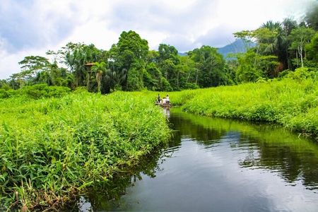 3 Day Manu Amazon Rainforest (Private Tour)