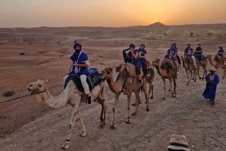 Marrakech Desert Dinner with Quad or camel Tour at sun set 