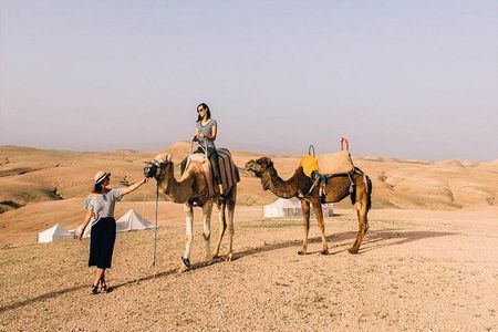 Agadir Camel Ride Experience with BBQ include
