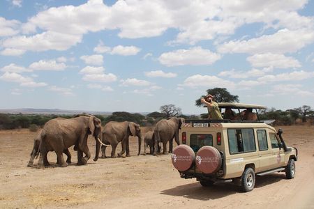 4 Days Tarangire Serengeti Ngorongoro Crater