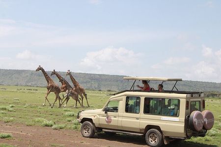 6 Days Serengeti Safari(hiking waterfalls &coffee tour) 