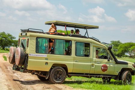 2 Days Tarangire & Ngorongoro Budget Safari Tour Tanzania