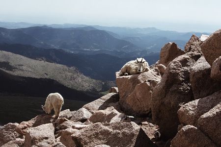 Mount Blue Sky Alpine Summit & Red Rocks Tour from Denver