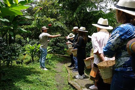 From Bogota Excursion to Finca de Cafe
