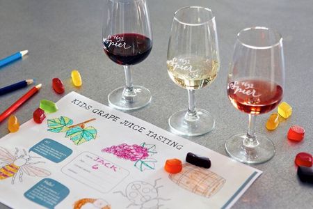 Family Friendly Wine Tour Cape Town 