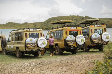6 Days Serengeti Big Five Mid-Range Lodge Safari in Tanzania