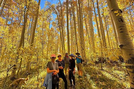 Privately Guided Scenic Mountain Hike