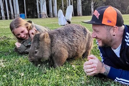 WILD Wombat and Kangaroo Day Tour, All Inclusive