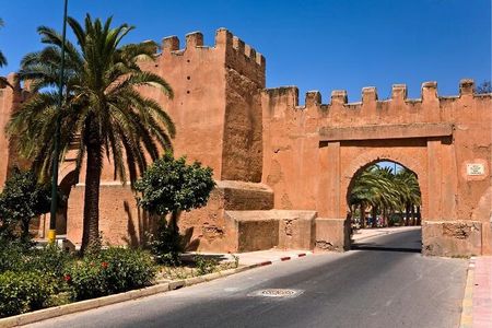 Agadir Day Trip to Taroudant and Tiout Oasis with Lunch