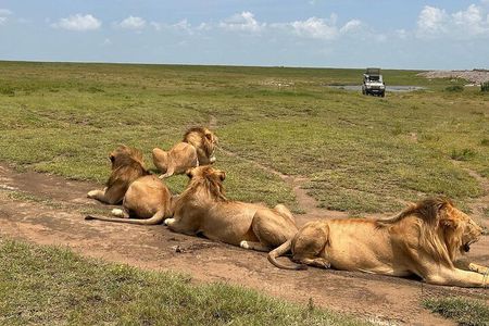 7 Days Private safari Tour in Tanzania