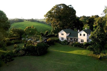 Day tour to Kiambethu Tea farm in Limuru from Nairobi