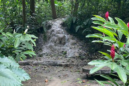 Private Experience in the Botanical Garden of Carthagena 