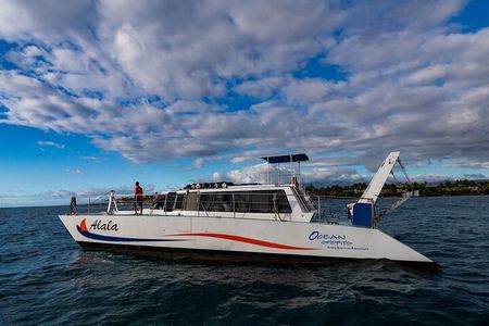  Wake up with the Whales Cruise from Kawaihae Harbor