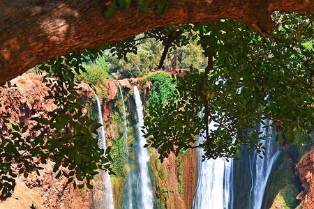 Full Day Tour to Ouzoud Waterfall 