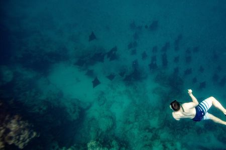 An Eagle Ray and Turtle Tour-Small Groups & Photography Included