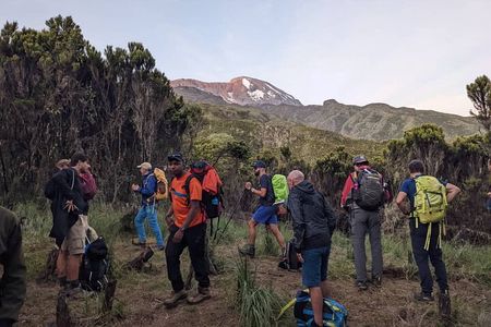 Best 1# day Kilimanjaro trek Machame with Kilinge Adventure 