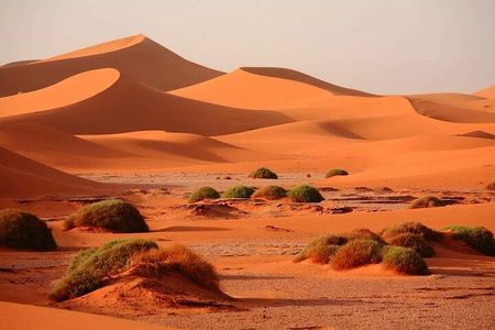 3-Day Sahara Adventure from Fes to Marrakech 