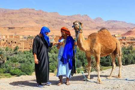 Fes Private full Day Trip from Tangier & back with Transport