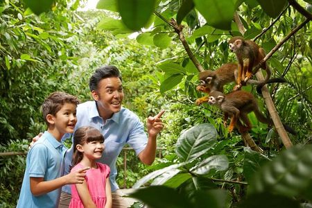 Singapore Zoo 