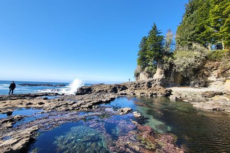 2 Day Private Adventure & Ocean Cabin on Vancouver Island