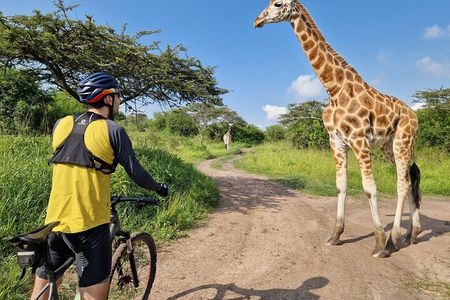 2 Days Cycling Safari To Lake Mburo National Park