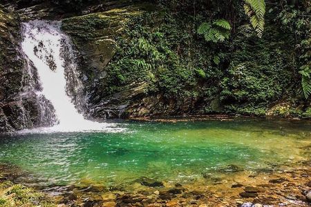 From Hue: Bach Ma National Park Trekking Full-Day Tour