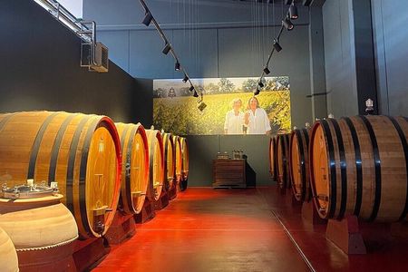 Visit and wine tasting 30 minutes from Pescara