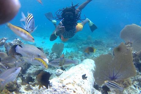Incredible Negril Guided Snorkeling To Reef, Anchor, and Cannon