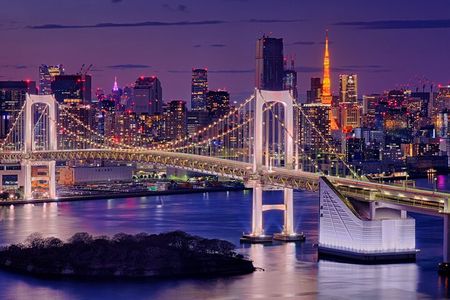 Tokyo in a Day : Private Tour to Shrine, Temples, Towers &Culture