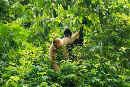 Cuc Phuong National Park Group Day Tour