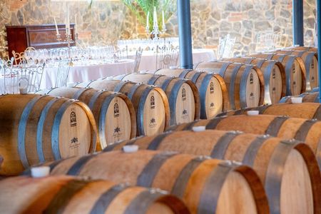 Romantic Dinner and Wine Tasting in San Gimignano Winery 