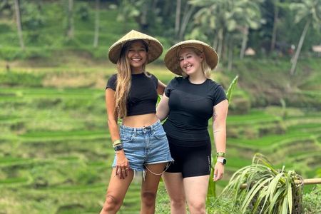 Gunung Kawi Rice Terrace Swing And Waterfall Private Guided Tour 