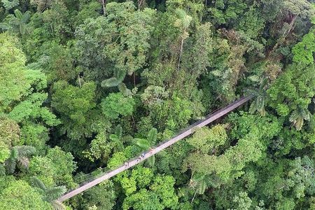 Arenal Hanging Bridges with Hotsprings, Lunch and Dinner