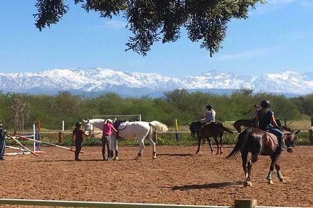 Marrakech & The Farm Experience!