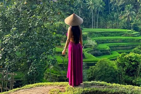 Ubud Guided Tour Monkey Forest, Waterfall, Temple & Rice Terrace.